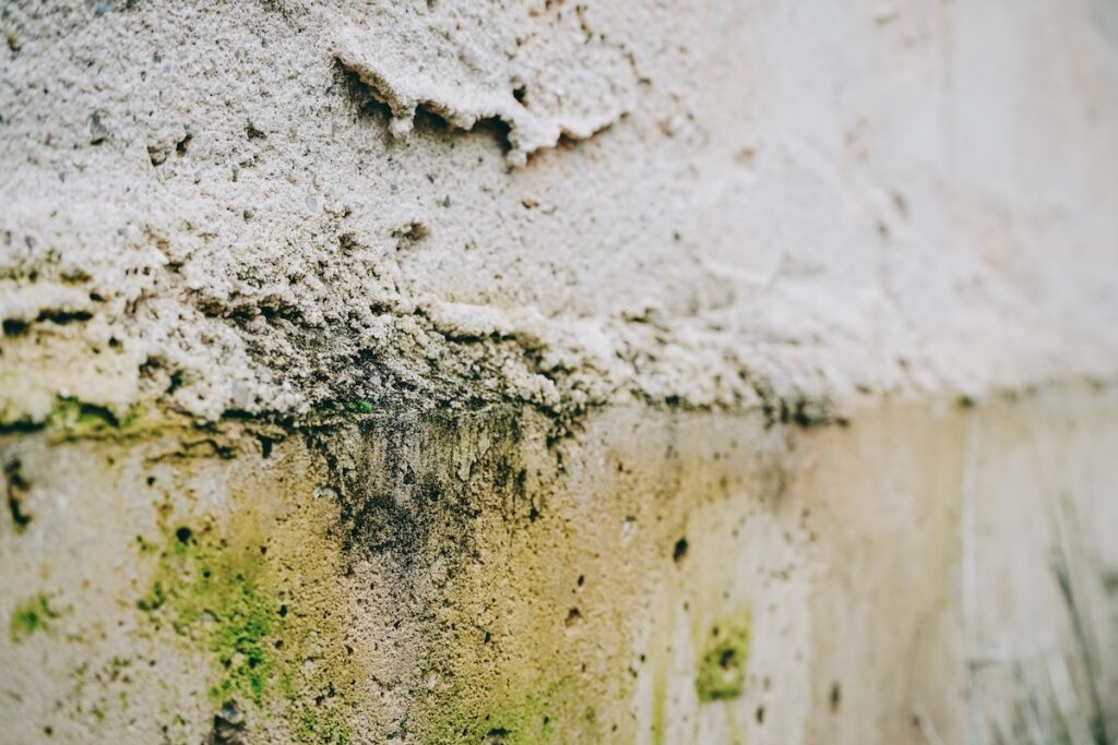 mould in exterior of home