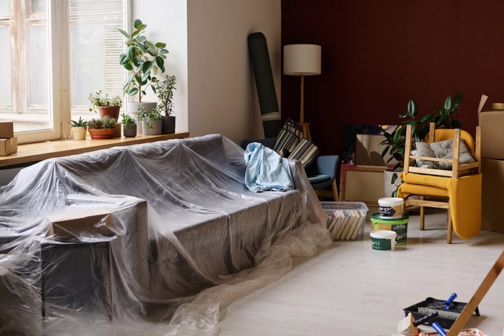 mould remediation process
