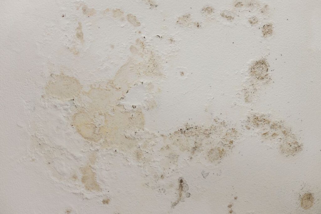Water leaks in ceiling 
