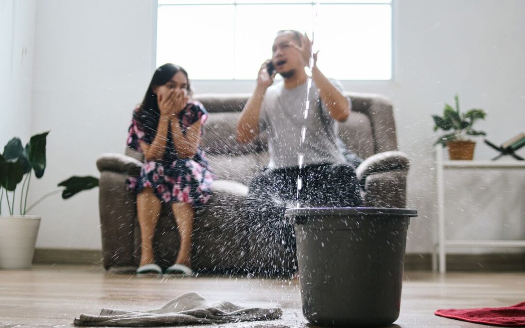 How to Prevent Water Damage in Your Basement: Complete Homeowner’s Guide