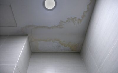 What to Do If Water Is Leaking From Your Ceiling: A Complete Guide