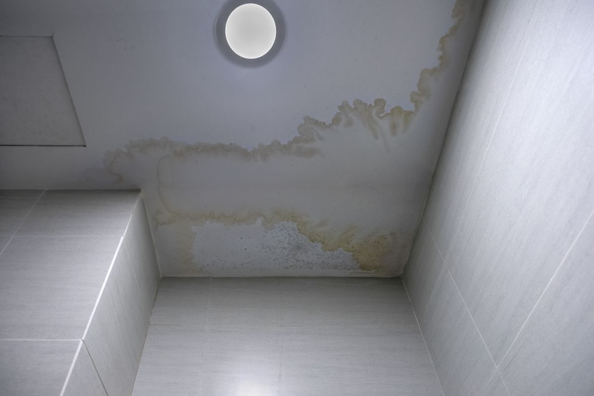 finding Water leaks
