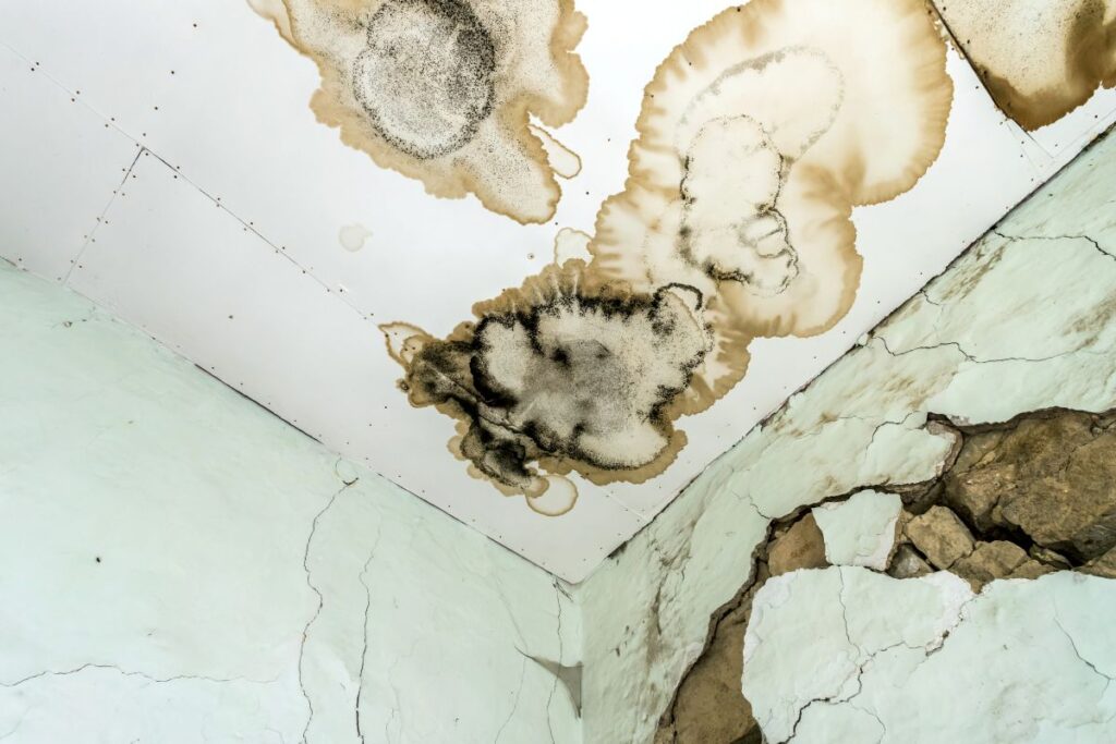 Mould after water leaks